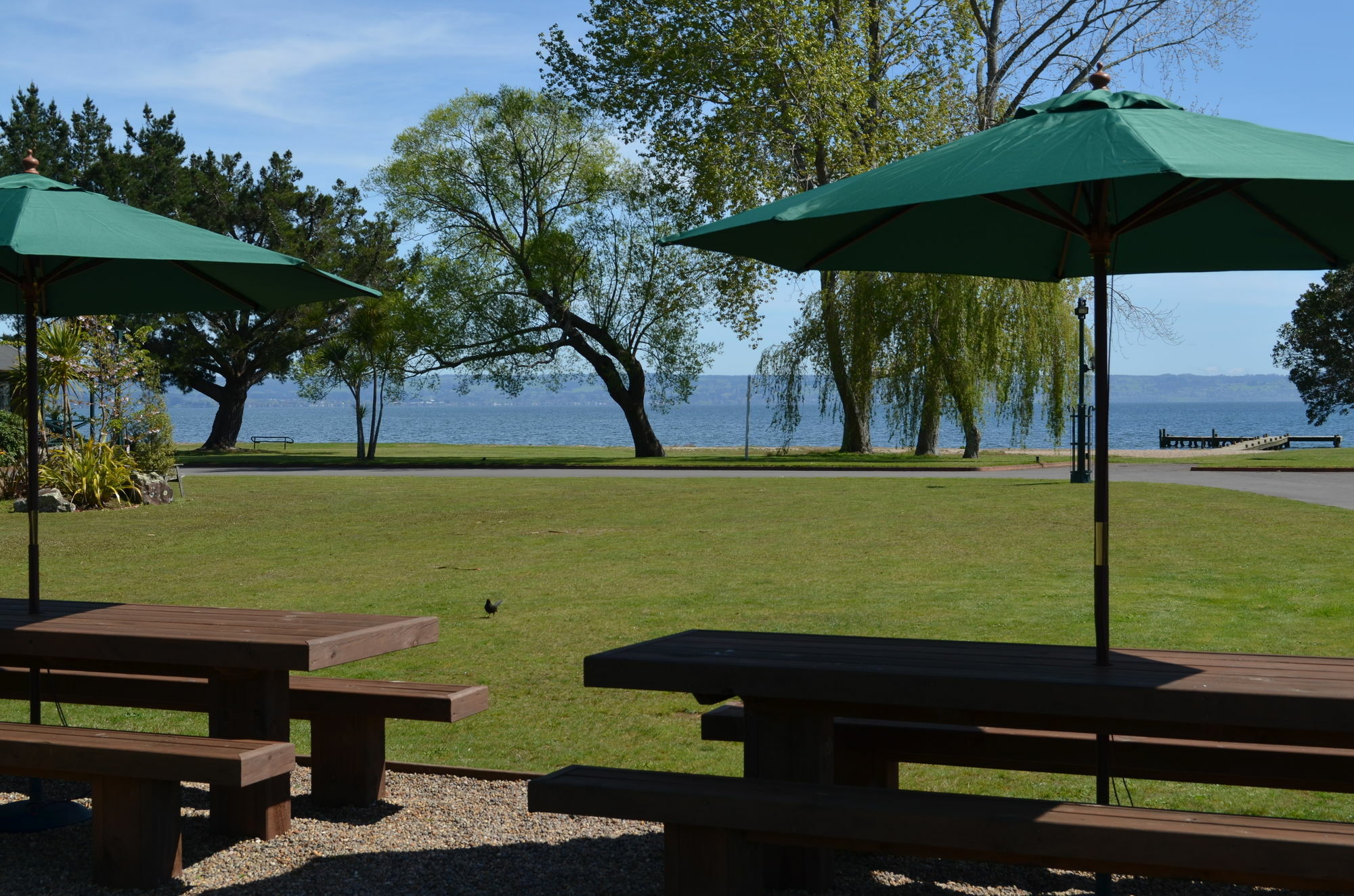 Cedarwood Lakeside Motel & Conference Venue Rotorua Exterior photo